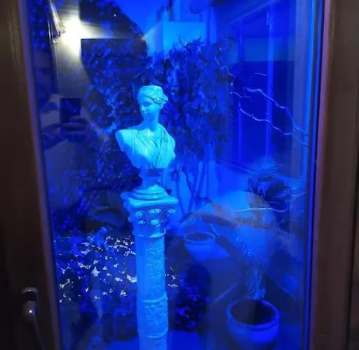 Dolcevita Boutique * Bolonya